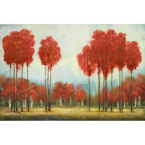 Autumn Reds White Modern Wood Framed Art Print by Marcon, Michael