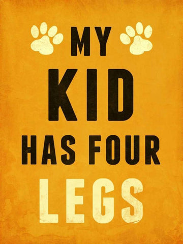 Paw Kids III White Modern Wood Framed Art Print with Double Matting by SD Graphics Studio