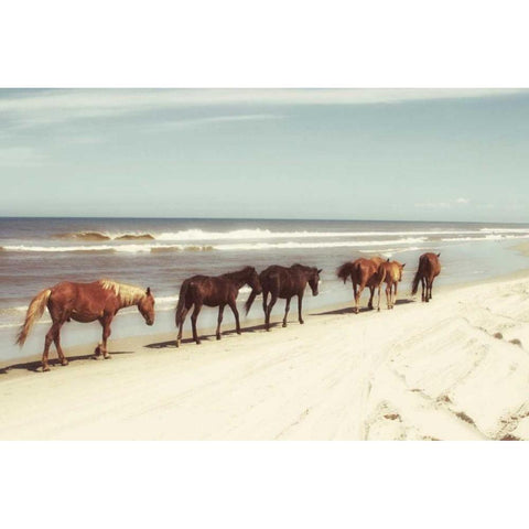 Horses on the Beach Black Modern Wood Framed Art Print with Double Matting by Mansfield, Kathy