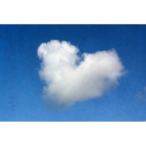 Love is in the Air White Modern Wood Framed Art Print by Peck, Gail