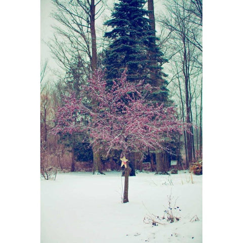 Winter Berries III Gold Ornate Wood Framed Art Print with Double Matting by Poynter, Kelly
