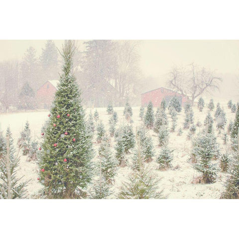 Holiday Cabin Black Modern Wood Framed Art Print by Poynter, Kelly