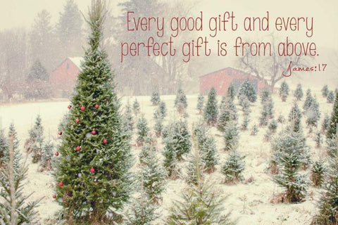 Holiday Messages I Black Ornate Wood Framed Art Print with Double Matting by Poynter, Kelly