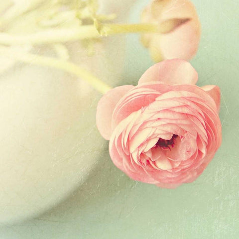 Vintage Peony I White Modern Wood Framed Art Print by Gardner, Sarah