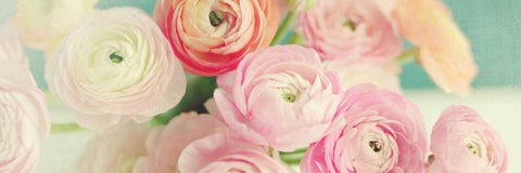 Blushing Blossoms Panel White Modern Wood Framed Art Print with Double Matting by Gardner, Sarah