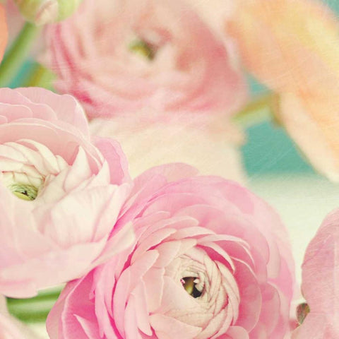 Blushing Blossoms Square I White Modern Wood Framed Art Print by Gardner, Sarah