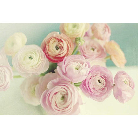 Blushing Blossoms Black Modern Wood Framed Art Print with Double Matting by Gardner, Sarah