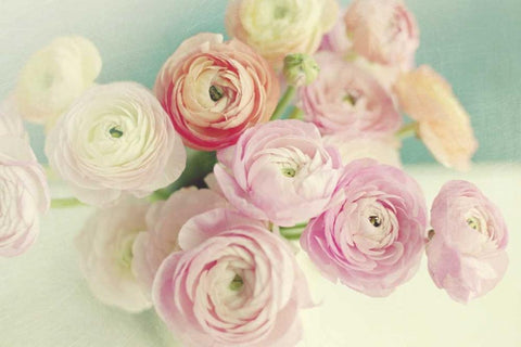 Blushing Blossoms Black Ornate Wood Framed Art Print with Double Matting by Gardner, Sarah