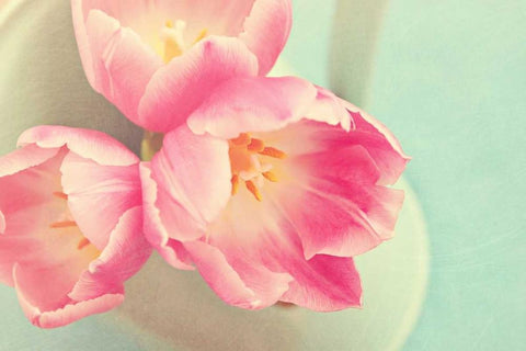 Resplendent Blossoms Black Ornate Wood Framed Art Print with Double Matting by Gardner, Sarah