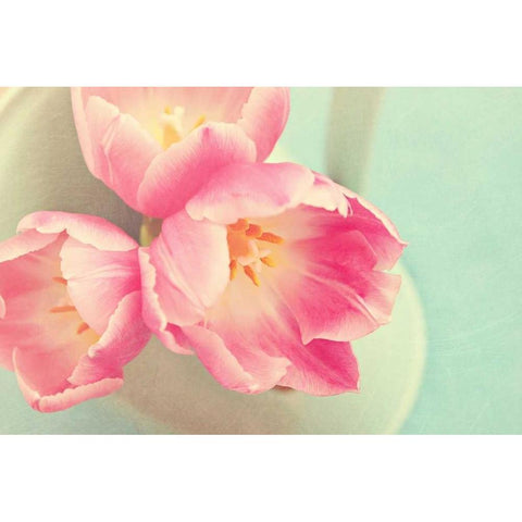 Resplendent Blossoms Black Modern Wood Framed Art Print by Gardner, Sarah