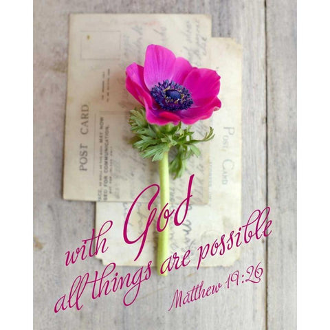 All things are Possible White Modern Wood Framed Art Print by Gardner, Sarah