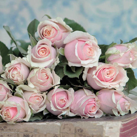 A Gift for Captivation Square White Modern Wood Framed Art Print with Double Matting by Gardner, Sarah