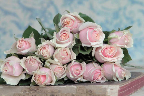 A Gift for Captivation White Modern Wood Framed Art Print with Double Matting by Gardner, Sarah