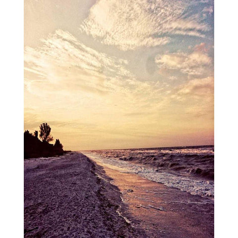 Crashing Waves Gold Ornate Wood Framed Art Print with Double Matting by Peck, Gail