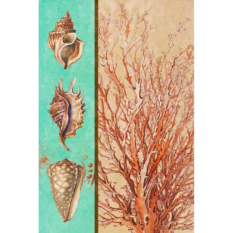 Coral and Sea Shells I White Modern Wood Framed Art Print by Loreth, Lanie