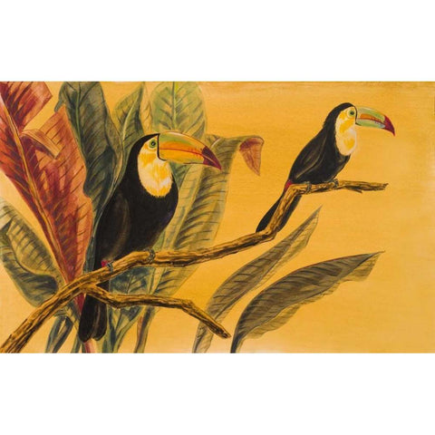 Toucans II White Modern Wood Framed Art Print by Baliko, Linda