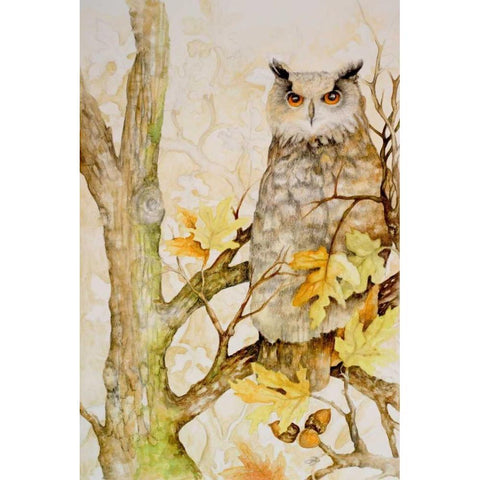 Mystic Woodland II Black Modern Wood Framed Art Print by Gaynor, Janice