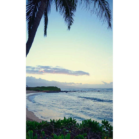 Under the Palm Black Modern Wood Framed Art Print with Double Matting by Nawrocke, Bruce