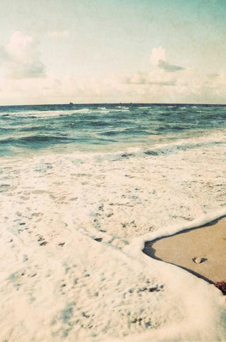 Filtered Beach Photo II Black Ornate Wood Framed Art Print with Double Matting by Peck, Gail