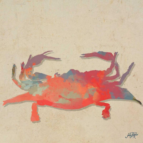 Sea Creatures on Tan I White Modern Wood Framed Art Print with Double Matting by DeRice, Julie