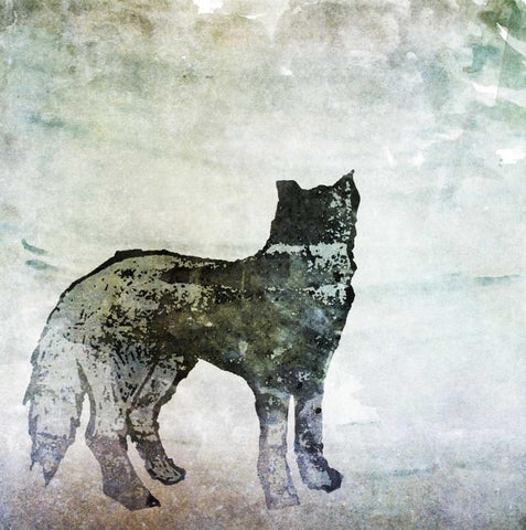 Wildlife on Site II White Modern Wood Framed Art Print with Double Matting by Biscardi, Nicholas