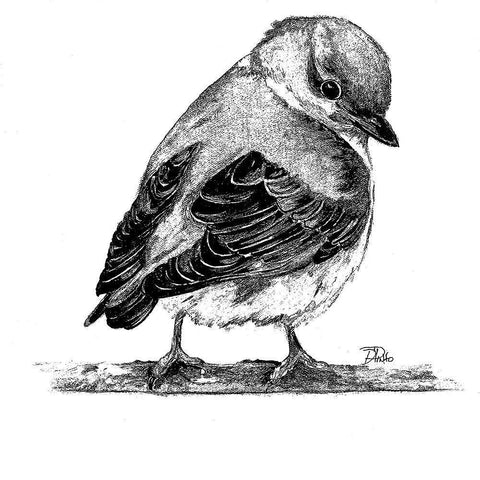 Black And White Baby Bird I Black Ornate Wood Framed Art Print with Double Matting by Pinto, Patricia