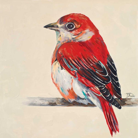 Baby Red Bird II White Modern Wood Framed Art Print with Double Matting by Pinto, Patricia