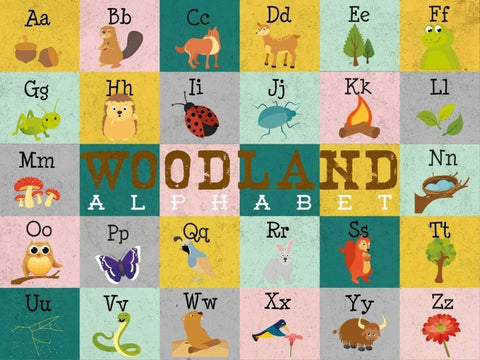 Woodland Alphabet (horizontal) Black Ornate Wood Framed Art Print with Double Matting by Josefina