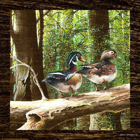 Pairing Up Square II White Modern Wood Framed Art Print with Double Matting by Nawrocke, Bruce