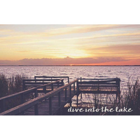 Dive Into The Lake Black Modern Wood Framed Art Print with Double Matting by Nawrocke, Bruce