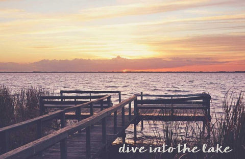 Dive Into The Lake Black Ornate Wood Framed Art Print with Double Matting by Nawrocke, Bruce