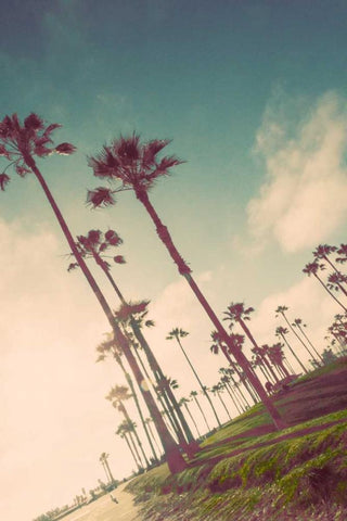 Venice Beach Fun Black Ornate Wood Framed Art Print with Double Matting by Navas, Emily