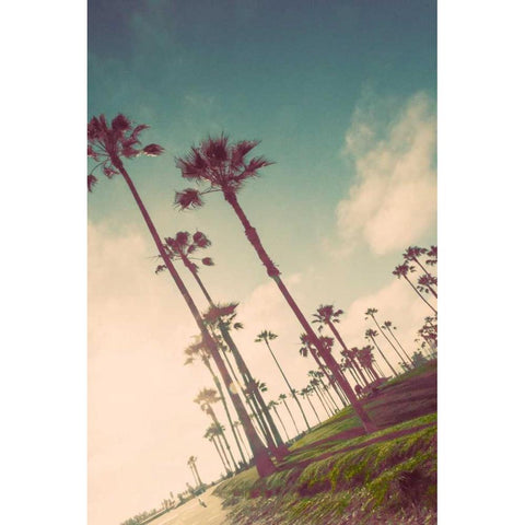 Venice Beach Fun Black Modern Wood Framed Art Print by Navas, Emily