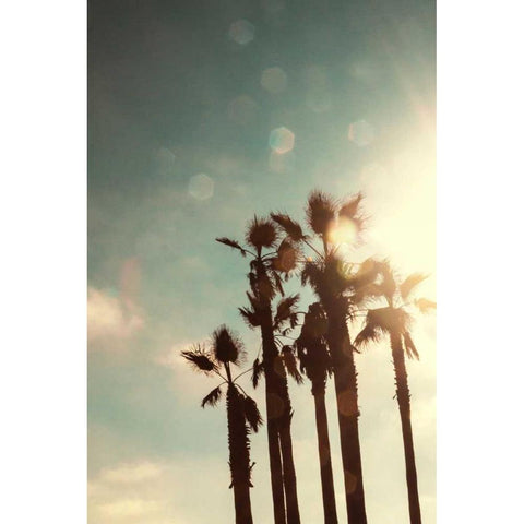 Palms in the Sun Black Modern Wood Framed Art Print with Double Matting by Navas, Emily