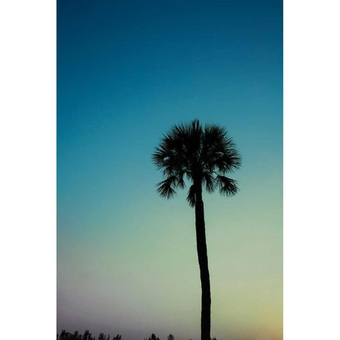 Palm Solo Black Modern Wood Framed Art Print with Double Matting by Bryant, Susan