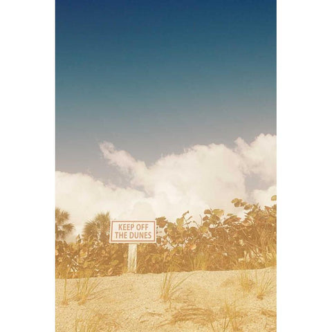 The Dunes Black Modern Wood Framed Art Print by Bryant, Susan