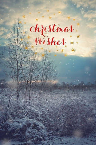 Christmas Wishes White Modern Wood Framed Art Print with Double Matting by Poynter, Kelly