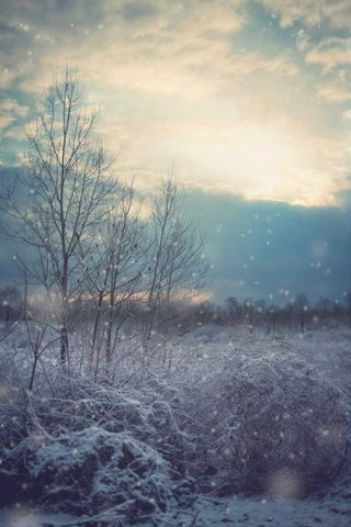 A Winters Day White Modern Wood Framed Art Print with Double Matting by Poynter, Kelly