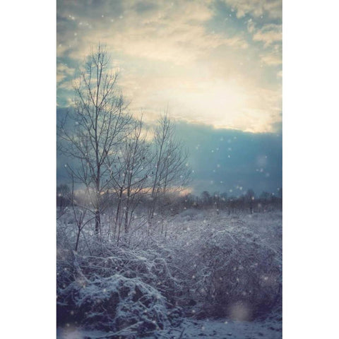 A Winters Day Black Modern Wood Framed Art Print by Poynter, Kelly