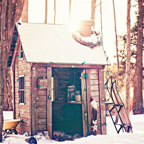 Holiday Shed White Modern Wood Framed Art Print by Poynter, Kelly