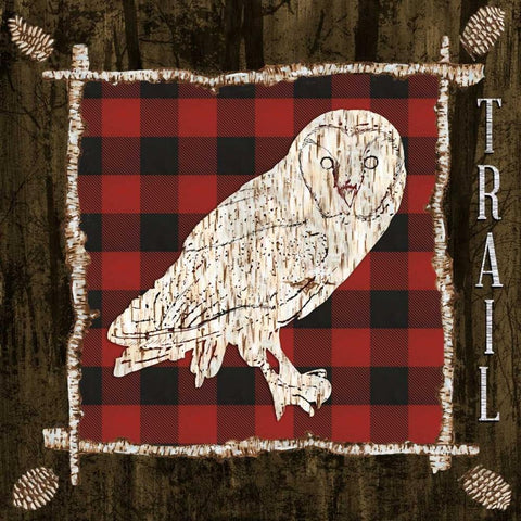 Plaid Birch Trail III Black Ornate Wood Framed Art Print with Double Matting by Ritter, Gina
