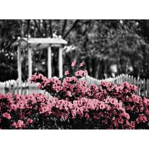 Garden Areas Border II Gold Ornate Wood Framed Art Print with Double Matting by Peck, Gail