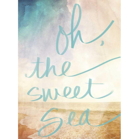 Oh the Sweet Sea Border Black Modern Wood Framed Art Print with Double Matting by Bryant, Susan