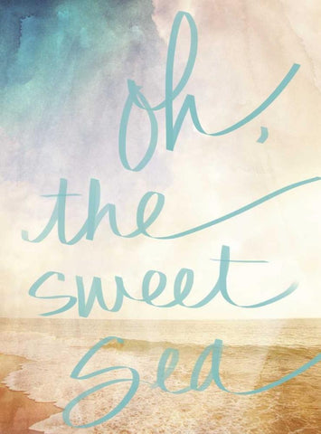 Oh the Sweet Sea Border Black Ornate Wood Framed Art Print with Double Matting by Bryant, Susan