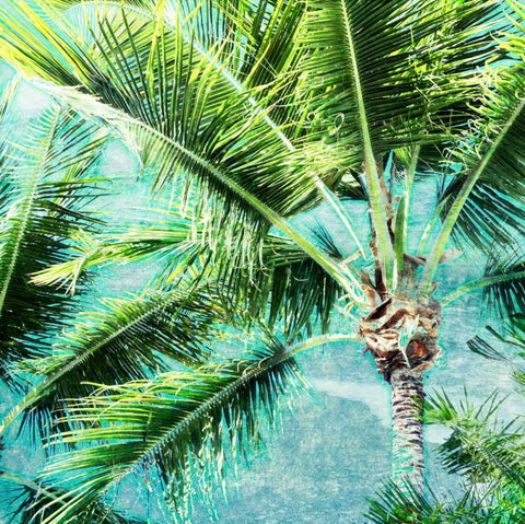 Wild Palm White Modern Wood Framed Art Print with Double Matting by Bryant, Susan