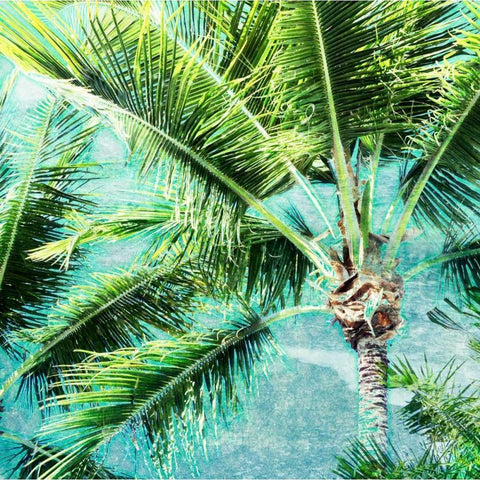 Wild Palm Black Modern Wood Framed Art Print with Double Matting by Bryant, Susan