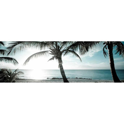 Cool Bimini I Black Modern Wood Framed Art Print with Double Matting by Bryant, Susan