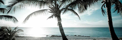 Cool Bimini I White Modern Wood Framed Art Print with Double Matting by Bryant, Susan