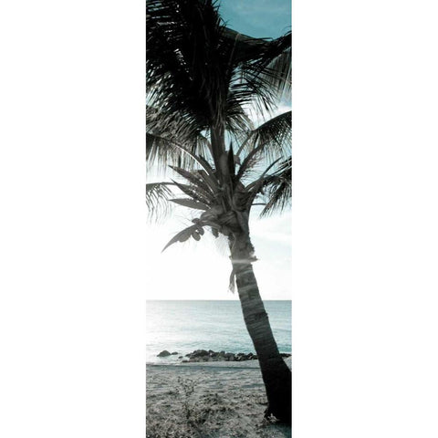 Cool Bimini Palm I Black Modern Wood Framed Art Print by Bryant, Susan