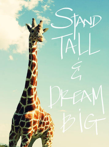 Stand Tall And Dream Big White Modern Wood Framed Art Print with Double Matting by Bryant, Susan